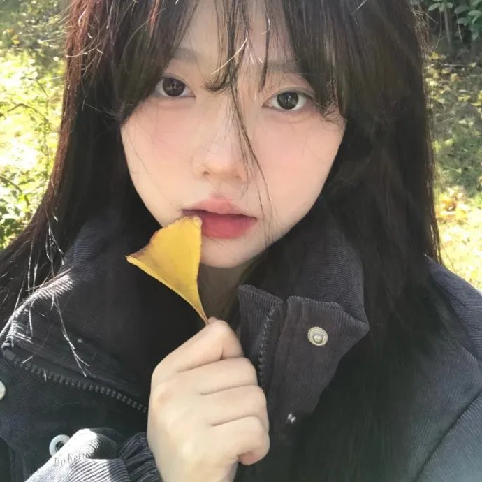 29片棕榈叶
