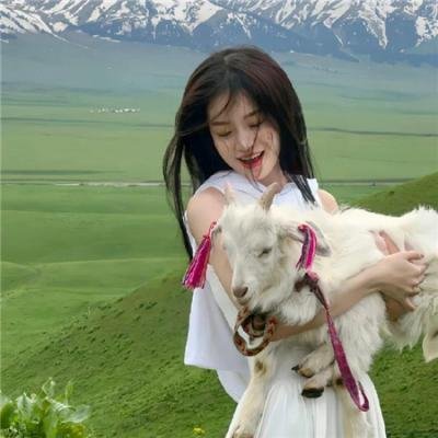 穿长筒靴的猫